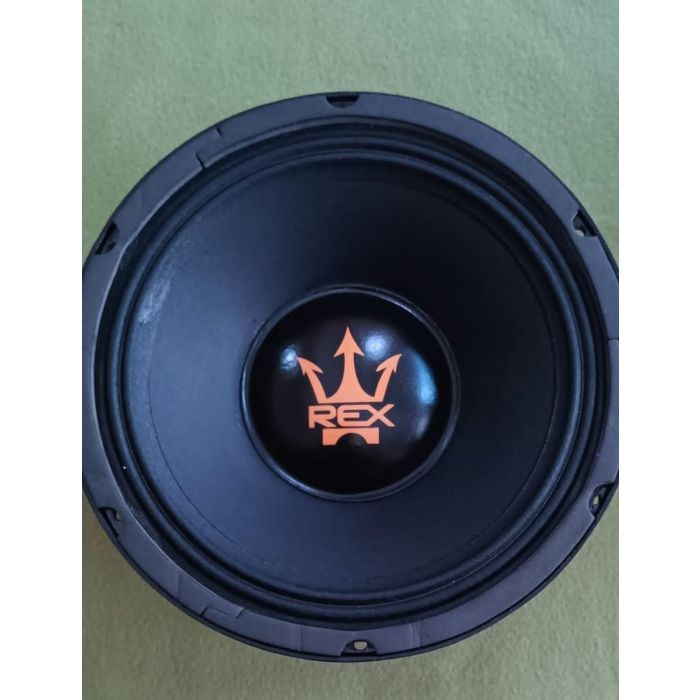 Alto Falante Médio Magnum REX Power RP 750 rms 10 Polegadas
