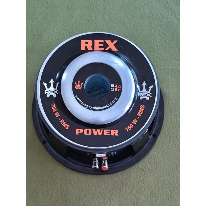 Alto Falante Médio Magnum REX Power RP 750 rms 10 Polegadas