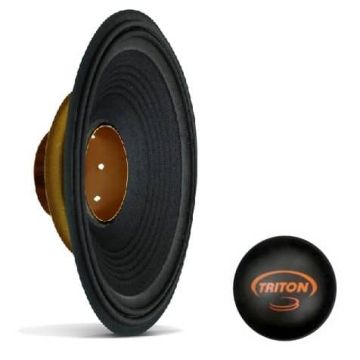 Kit Reparo Alto Falante Triton 200 RMS 10 Polegadas